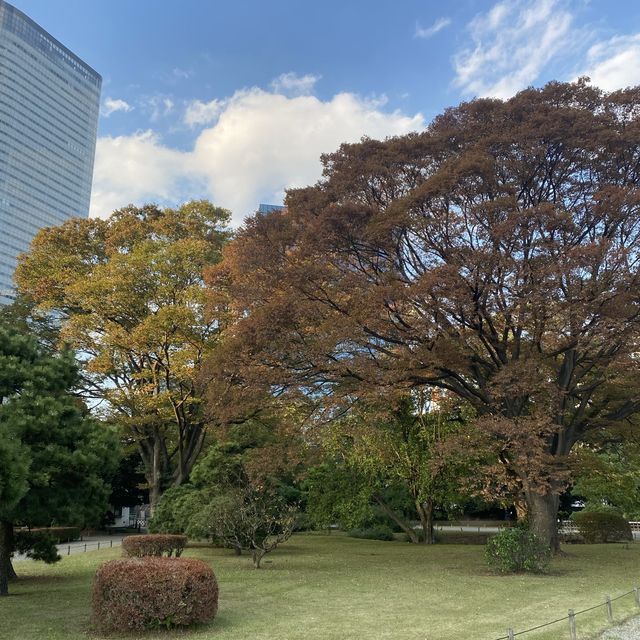 東京〝浜離宮恩賜庭園〟