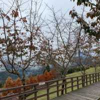 【台灣南投 清境農場】 一生必去｜高山之旅