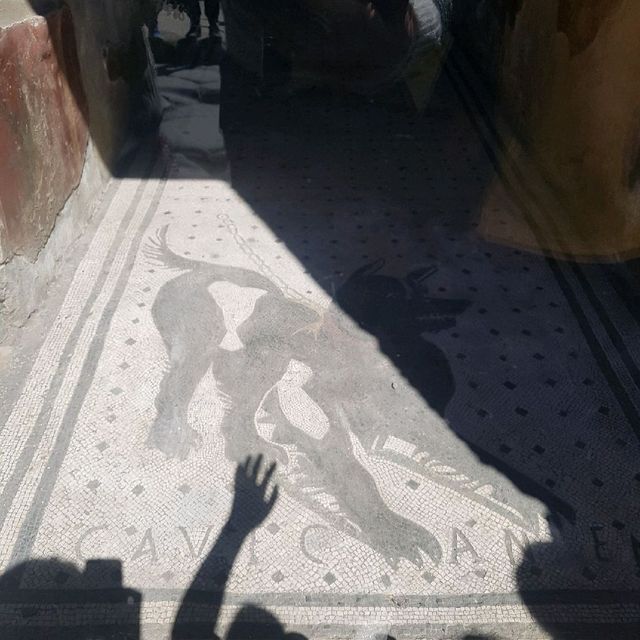 폼페이를 가보다