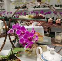 Afternoon tea @ The Majestic Hotel 
