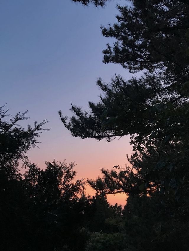 제주 금오름, 찍기만해도 인생샷 완성 🤎🐎⛰