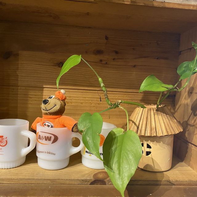 大人気🔥カフェ