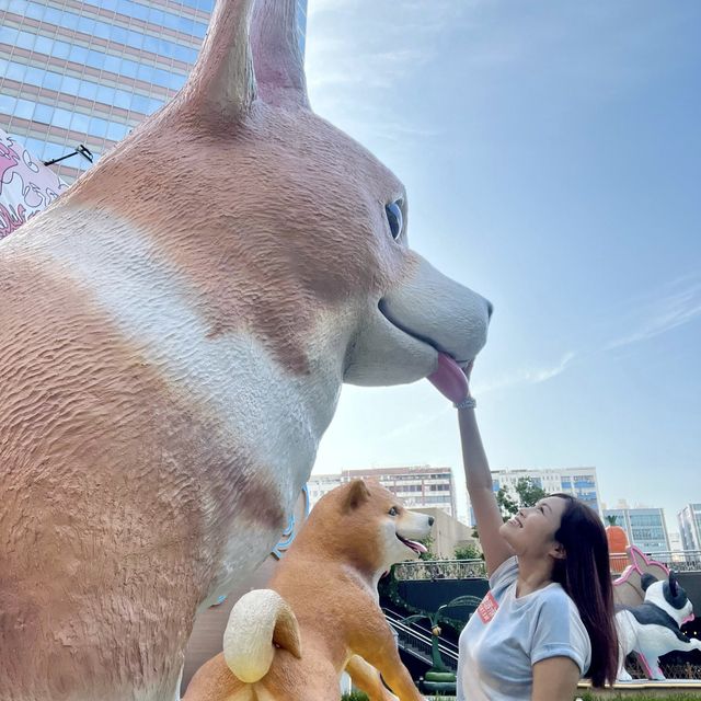 我和超巨型狗狗有個約會💜
