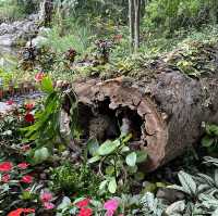 荃灣城門谷公園
