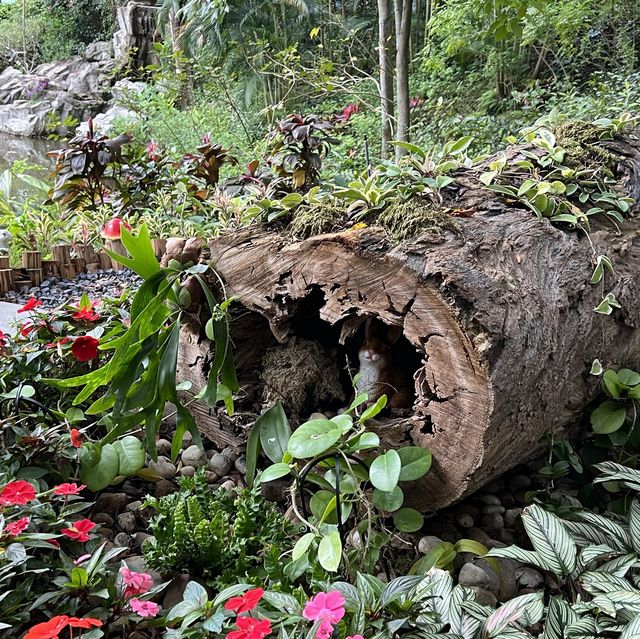 荃灣城門谷公園