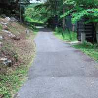 The Paz Khaoyai โรงเเรมหรูเขาใหญ่ 