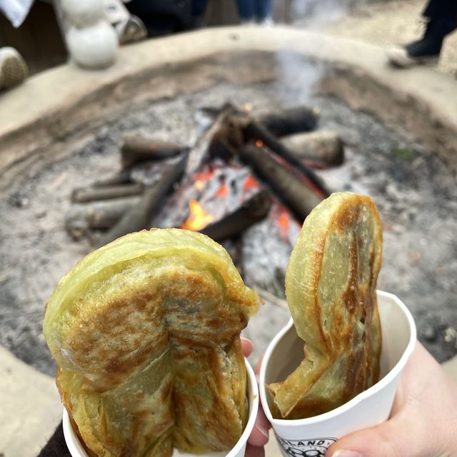 冬季戀歌拍攝景點～南怡島一日遊！