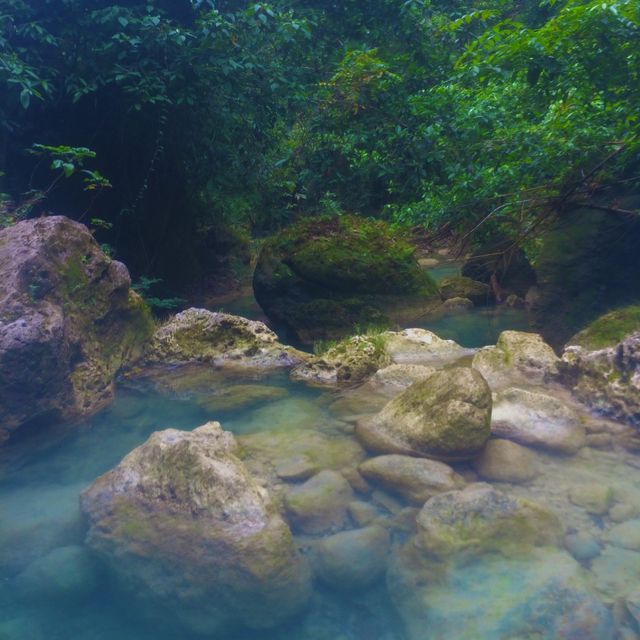 Try Canyoneering at Kawasan Falls