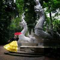 วัดหลวงขุนวิน@เชียงใหม่