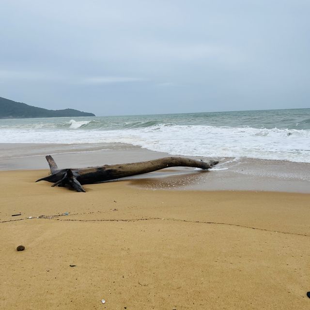 หาดไม้ขาว ภูเก็ต