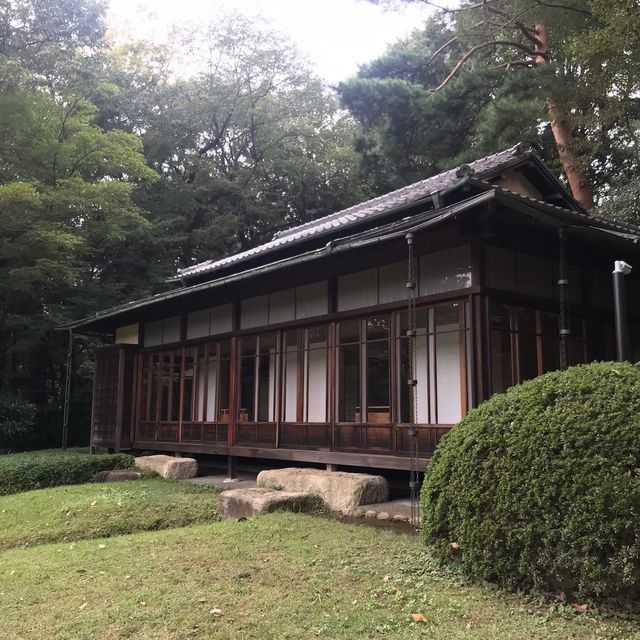 東京裡的聖地神宮⛩遼闊綠地森林一起來淨化心靈吧☺️