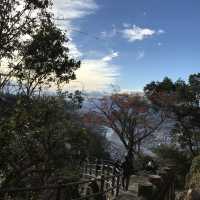 🏯 織田信長「天下布武」的始發地 – 岐阜城