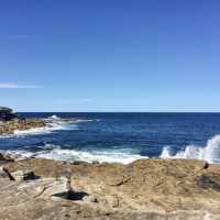Sydney Coastal Walks