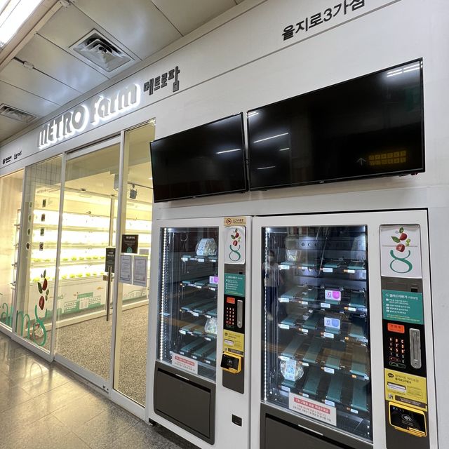 🇰🇷 Anguk station farming