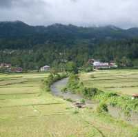 Rantepao - At the heart of Toraja rituals