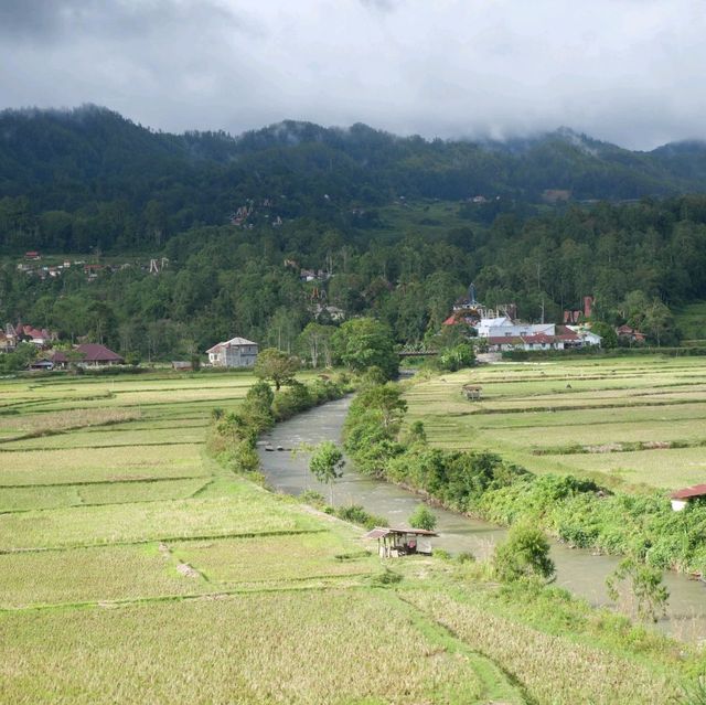 Rantepao - At the heart of Toraja rituals