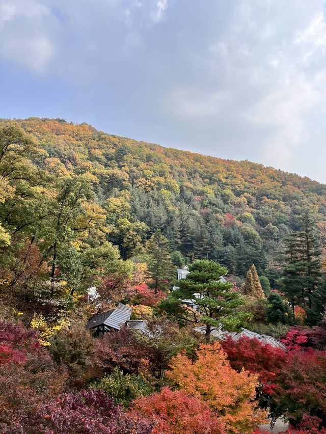 서울 근교 가을 단풍 핫플은 바로 여기!