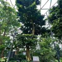A great experience at Canopy Park 