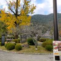 錦帯橋紅葉谷公園

