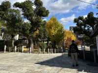 日本大阪四天王寺｜佔地好大又氣派，很漂亮的地方