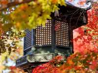 真正極楽寺 (真如堂)