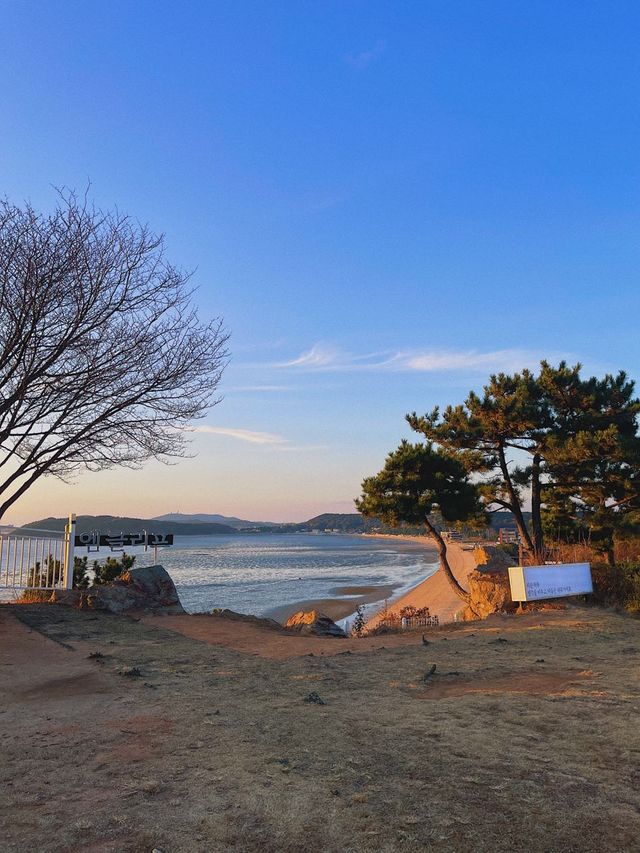 엠클리프 :: 인천 뷰맛집 카페 추천
