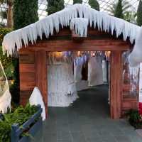 Christmas @ Flower Dome