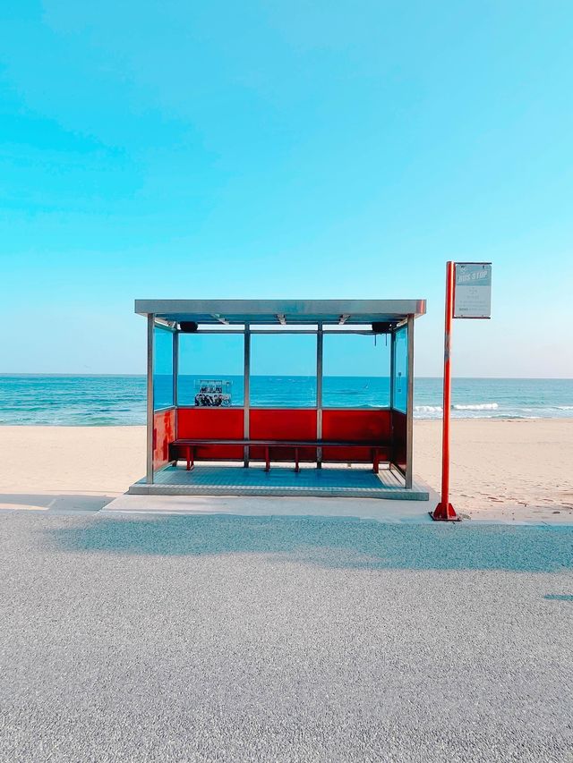 여긴 언제나 예쁜포인트! 강릉 주문진해변 BTS정류장