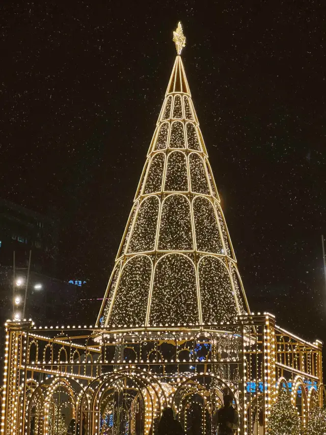 여의도 타임스퀘어 골든트리🎄