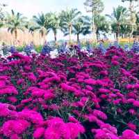 🌼🌸ไร่คุณอารียา🌿🌿