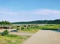 【静岡旅行】世界一長い木造歩道橋