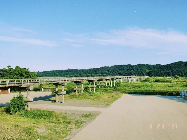 【静岡旅行】世界一長い木造歩道橋