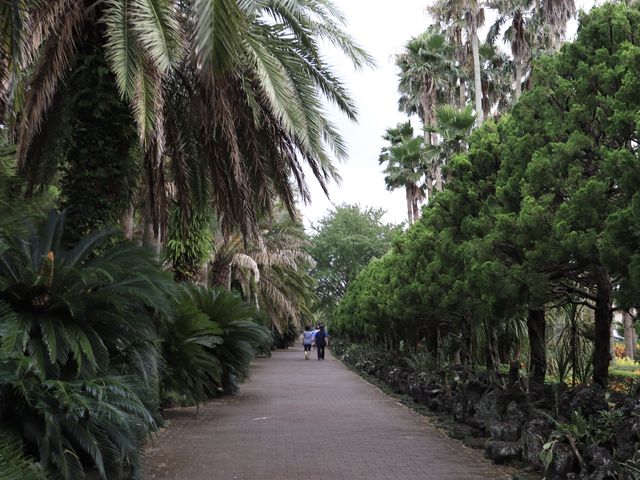신비하고 시원한곳, 한림공원🌿