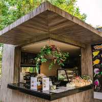 คาเฟ่ริมทะเลสาบ ใกล้ชิดธรรมชาติ | เขาใหญ่