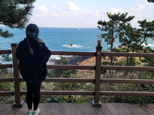#제주도 도두봉. 바다를 보며 걷는 산 속 공원