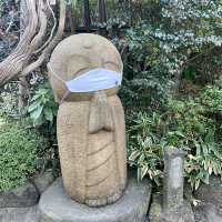 【神奈川】あじさいや紅葉も有名🍁長谷寺