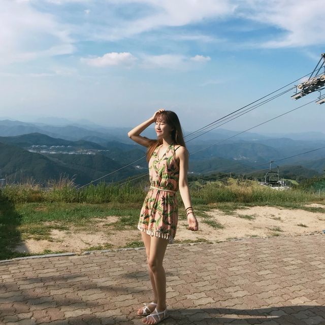 여름에만 열리는 놀이공원! 비발디파크 오션월드 🤿