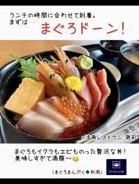 お得なきっぷ♪みさきまぐろきっぷでお出かけ🐟