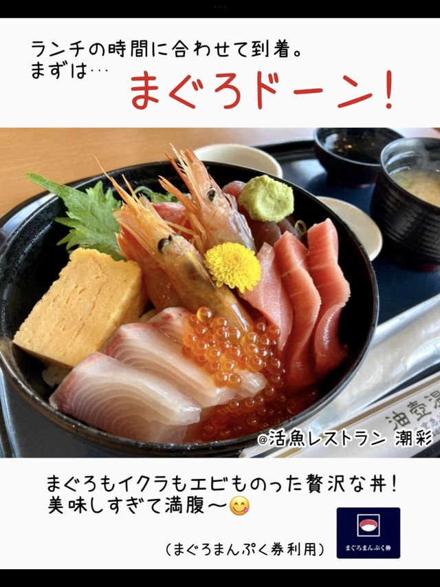 お得なきっぷ♪みさきまぐろきっぷでお出かけ🐟