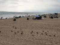 Santa Monica State Beach