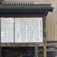 【義仲旗挙神社】巨大な欅が歴史を語る。