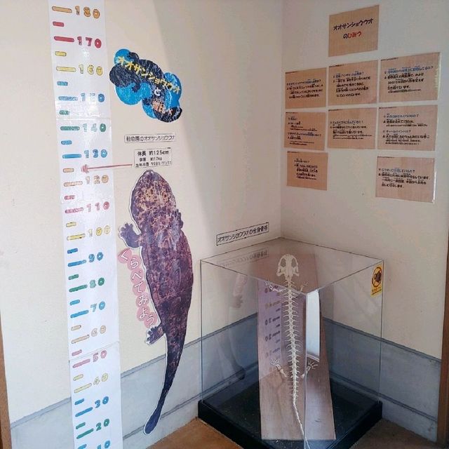 京都市動物園　京都の森