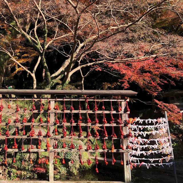 福岡必去祈求考運亨通｜太宰府天滿宮