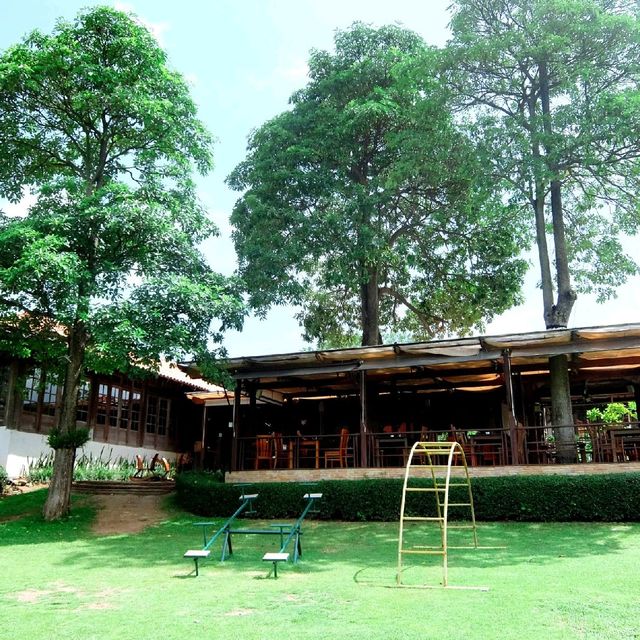 8 things You must Do & See in Khao Yai