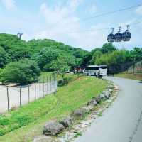 大自然を目の前に　ドライブスルーサファリ　姫路セントラル・パーク