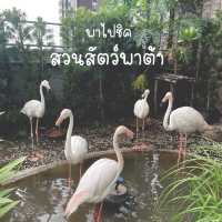 พาไปชิค สวนสัตว์พาต้า🐑