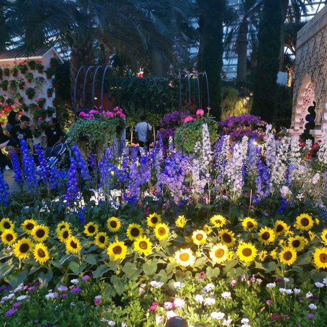 A Spanish Serenade with Sunflowers