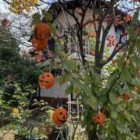 【横浜市】山手資料館もハロウィンデコレーション