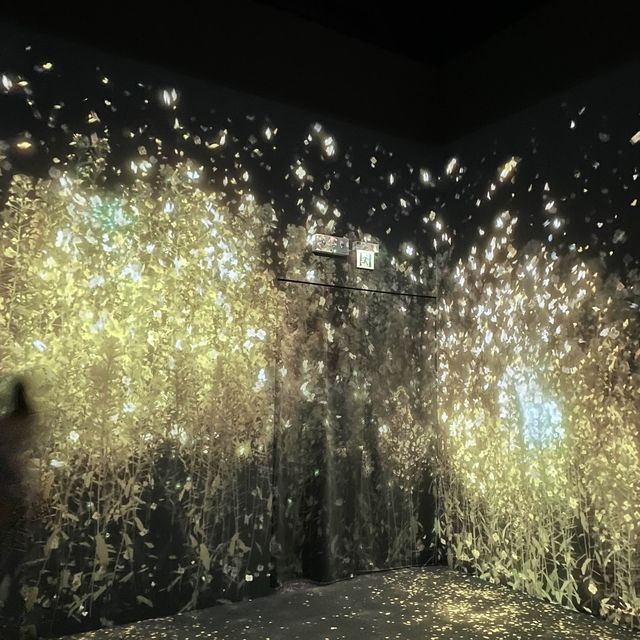 香港版teamlab 香港版teamlab