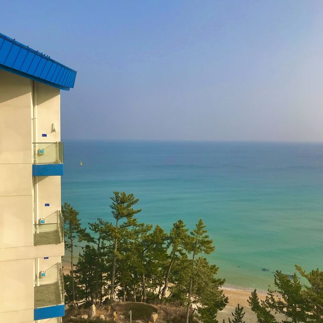 해외 느낌 가득 “쏠비치 삼척”🌊
